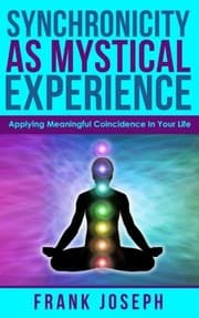 Tapa de Synchronicity as Mystical Experience