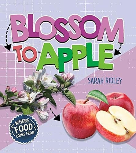 Tapa de Blossom to Apple
