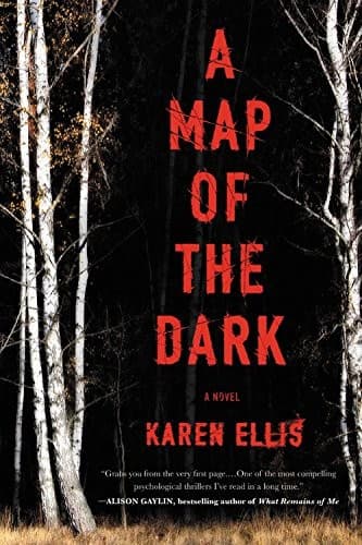 Tapa de A Map of the Dark