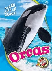 Tapa de Orcas