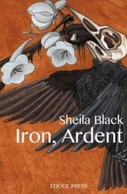 Tapa de Iron, Ardent