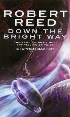 Tapa de Down the Bright Way
