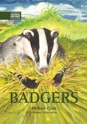 Tapa de Badgers