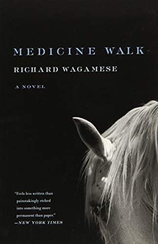 Tapa de Medicine Walk