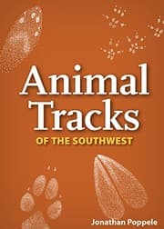 Tapa de Animal Tracks of the Southwest Playing Cards