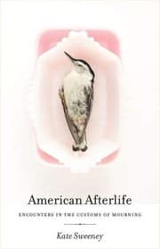 Tapa de American Afterlife
