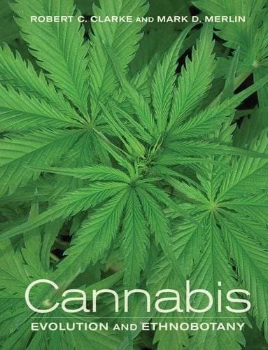 Tapa de Cannabis