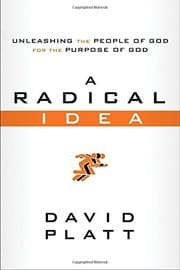 Tapa de A Radical Idea