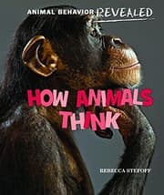 Tapa de How Animals Think