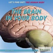 Tapa de The Brain in Your Body