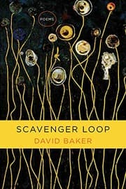 Tapa de Scavenger Loop