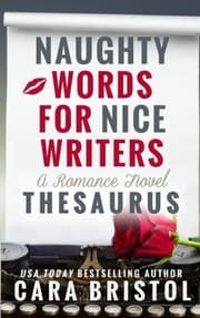Tapa de Naughty Words for Nice Writers