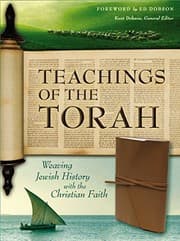 Tapa de NIV, Teachings of the Torah, Leathersoft, Brown