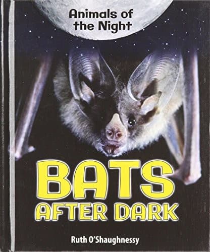 Tapa de Bats After Dark