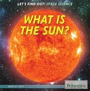 Tapa de What Is a Sun?