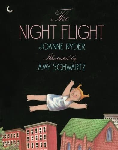 Tapa de The Night Flight
