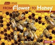 Tapa de From Flower to Honey