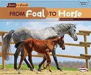 Tapa de From Foal to Horse