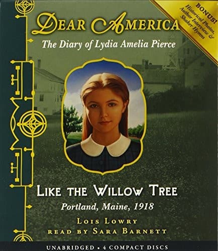 Tapa de Dear America