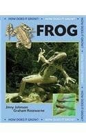 Tapa de Frog