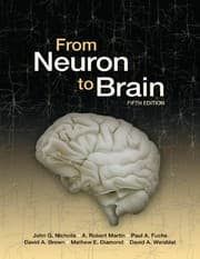 Tapa de From Neuron to Brain/ Neurons in Action Version 2