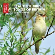 Tapa de Beautiful Bird Songs of Britain
