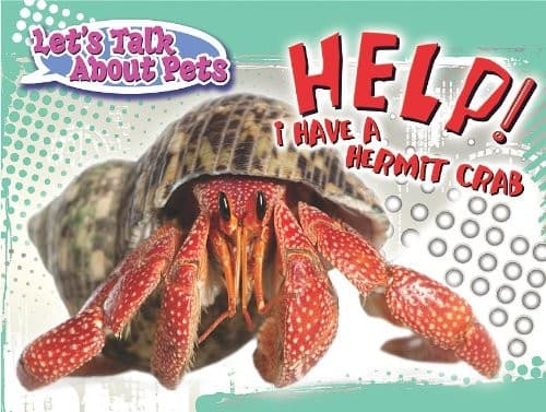 Tapa de Help! I Have a Hermit Crab