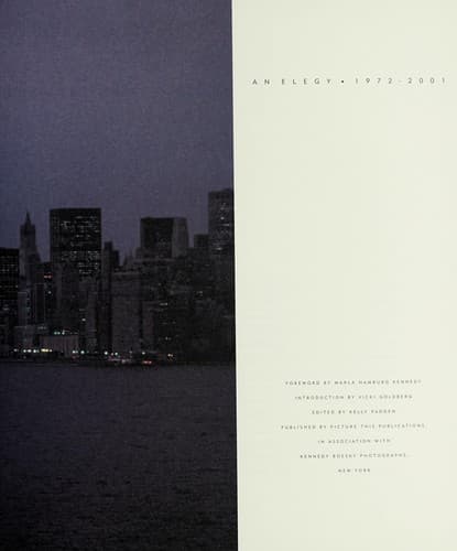 Tapa de The Twin Towers