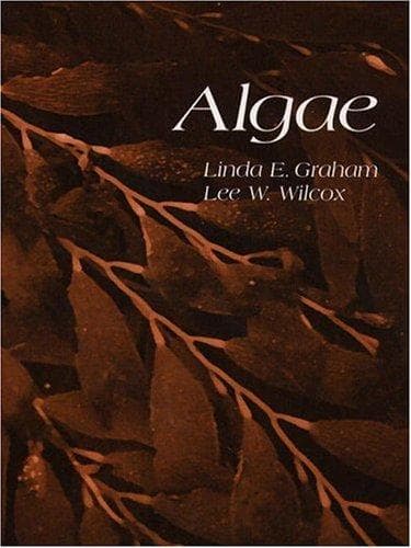 Tapa de Algae