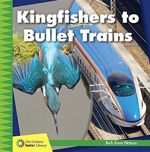 Tapa de Kingfishers to Bullet Trains