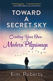 Tapa de Toward a Secret Sky