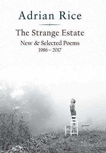 Tapa de The Strange Estate