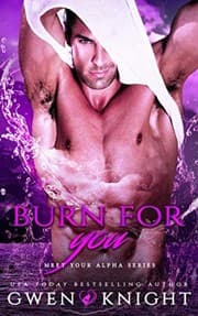 Tapa de Burn For You