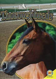 Tapa de Thoroughbreds