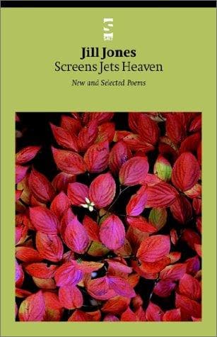 Tapa de Screens Jets Heaven