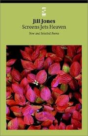 Tapa de Screens Jets Heaven