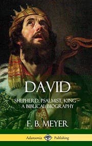 Tapa de David