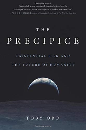 Tapa de The Precipice