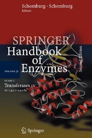 Tapa de Class 2 Transferases IV