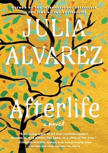 Tapa de Afterlife