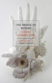 Tapa de The Bridge of Beyond