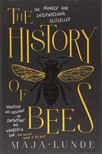 Tapa de Bienes historie