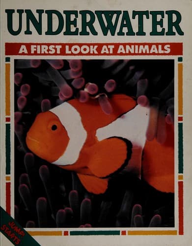 Tapa de Underwater