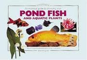 Tapa de An Essential Guide to Choosing Your Pond Fish And Aquatic Plants (Tankmaster S.)