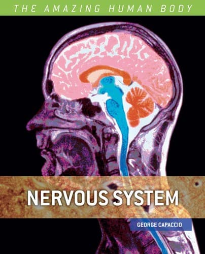 Tapa de The nervous system