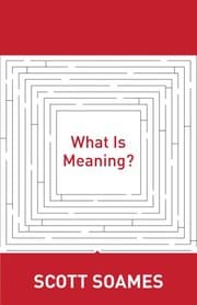Tapa de What is meaning?