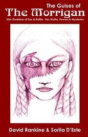 Tapa de The guises of the Morrigan