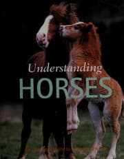 Tapa de Understanding horses