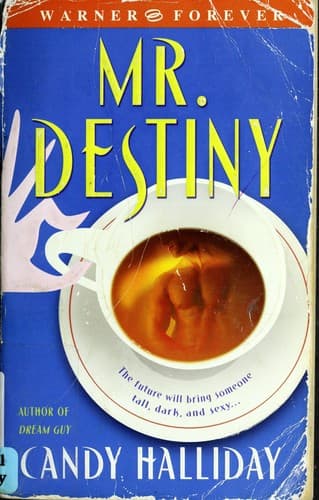 Tapa de Mr. Destiny