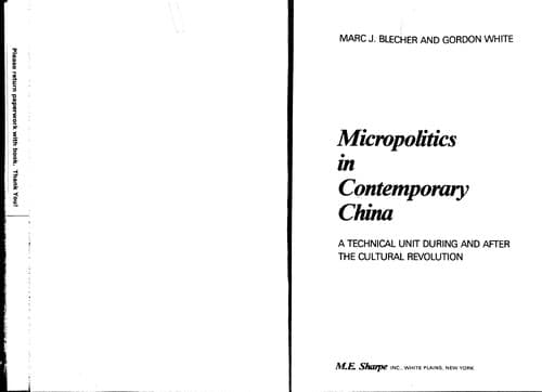 Tapa de Micropolitics in contemporary China